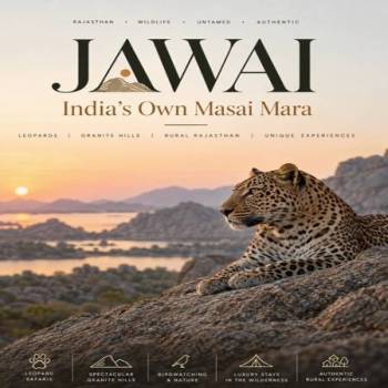Jawai Leopard Safari Package – 6 Days / 5 Nights