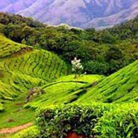 South Indian Odyssey Tour