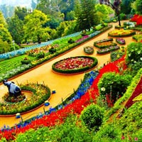 Short Escape to Ooty Tour