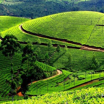 Awesome Deluxe Kerala Tour