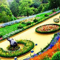 Ooty Hill Tour Package