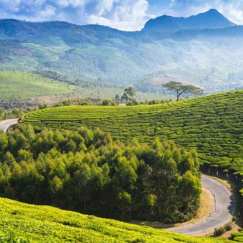 Best of South India Hill Stations Tour