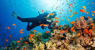 3 Night 4 Days Andaman Tour