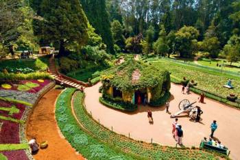 5 Day Trip From Bangalore - Ooty - Mysore - Coorg