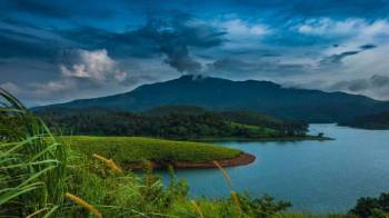 5 Day Trip From Bangalore - Wayanad - Nagarhole - Coorg