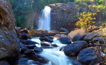 Chikmagalur Coorg Wayanad Tour Package