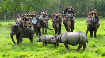 Chitwan Tour Packages