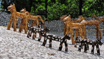 Shimla Manali Honeymoon