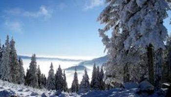 Magnificent Shimla Manali Tour