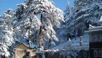 Himachal Honeymoon Tour