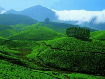 Munnar Tour Package3 Days & 2 Nights