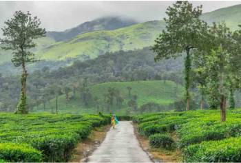 Cochin-Wayanad-Ooty 4 Night 5 Days Tour Package