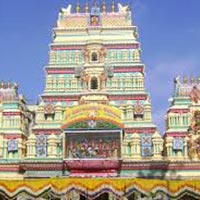 Spices & Palaces of Southern India Tour