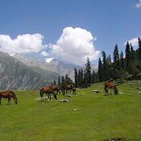 Srinagar Tour Package (05 Night / 06 Days)