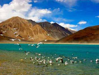 Srinagar to Leh 7  Nights  8  Days