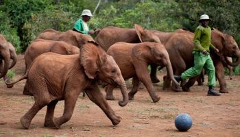 Golfing Itinerary Tour