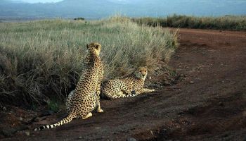 Northern Circuit Itinerary Tour