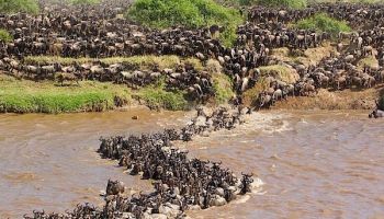 Northern Circuit Itinerary Tour