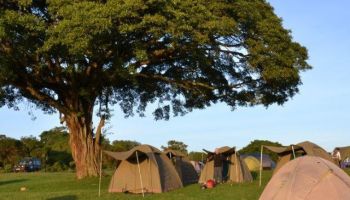 3D Lake Manyara - Ngorongoro - Serengeti Tour