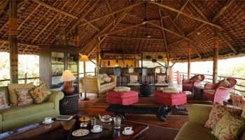 3 Days Selous Game Reserve Tour By Air