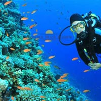 Port Blair and Havelock Island holiday Package for 5 days