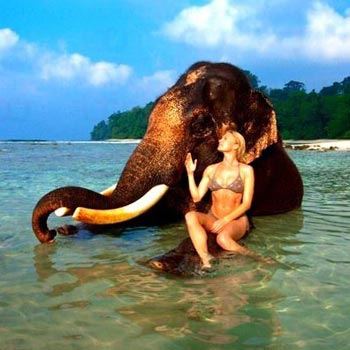 Most Beautiful Elephant Beach