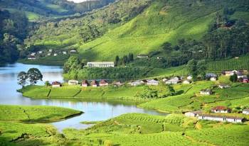 7 Nights 8 Days - Classic Kerala Tour