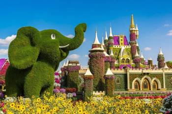 DUBAI & ABU DHABI PACKAGE
