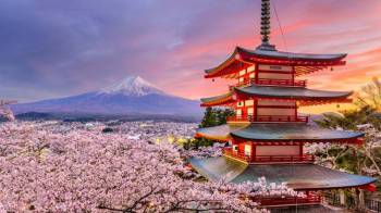 Tokyo Hamamatsu Osaka