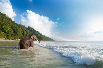 Honeymoon in Exotic Andaman- 5N