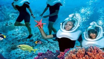 Havelock Tour Package