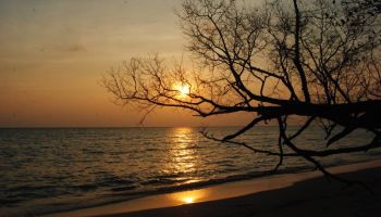 Havelock Tour Package