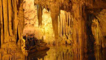 Havelock Tour Package