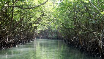 Seniors citizens Tour