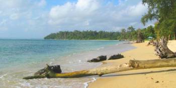 Havelock Luxury Tour Package