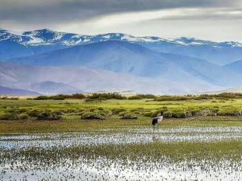 Tawang with Kaziranga Wildlife Tour