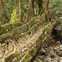 Blissful Arunachal Meghalaya Tour