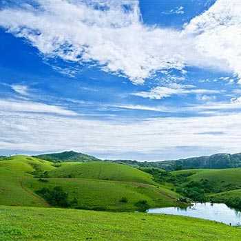 Packages in Kaziranga