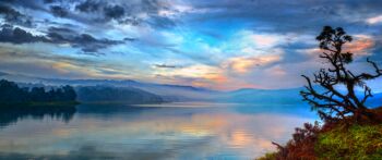 Cherry Blossom Festival Package - Shillong