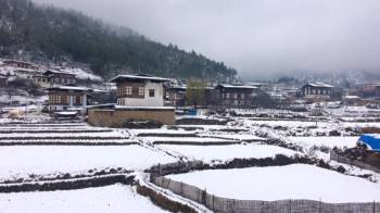 Bhutan Delight Tour
