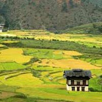 Central Bhutan Journey ( Eco Village Tours)