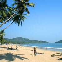 Best of Kerala with Treehouse Stay Tour