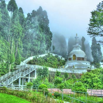Darjeeling – The Queen of Hills Tour
