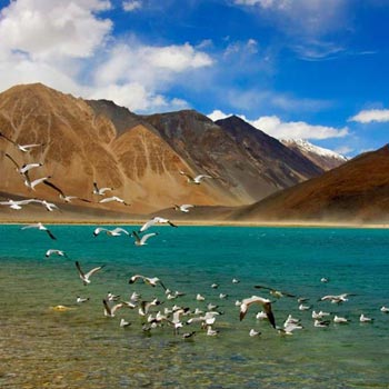 Ladakh Package For 5 Nights with Deluxe Hotels Tour