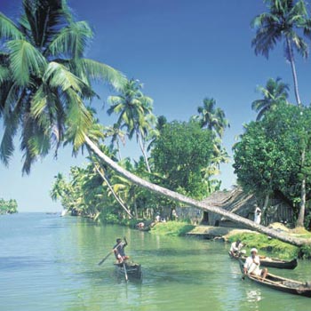 Cochin Munnar Romantic Tour Package
