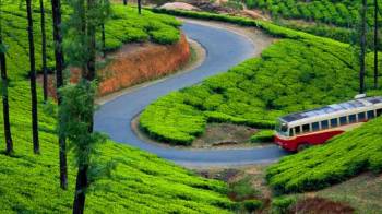 4 Nights 5 Days Kerala Tour