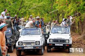 Kanha Tour Package from Gondia