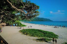 Packages in Havelock