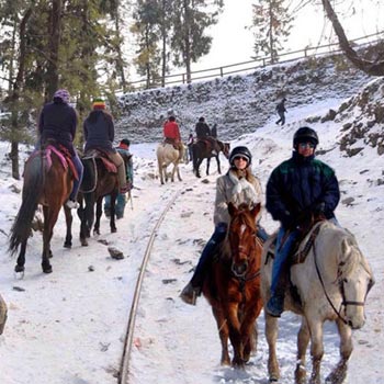 Shimla Advanture Package
