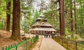 Shimla Manali Chd Family Tour